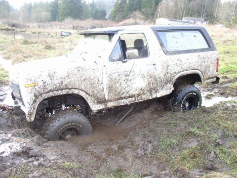 1978 Ford Bronco photo