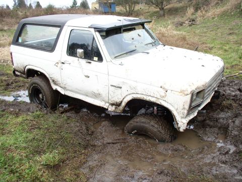 1978 Ford Bronco photo