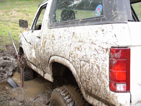 1978 Ford Bronco photo