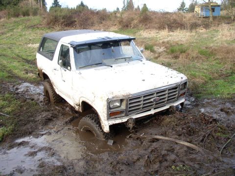 1978 Ford Bronco photo