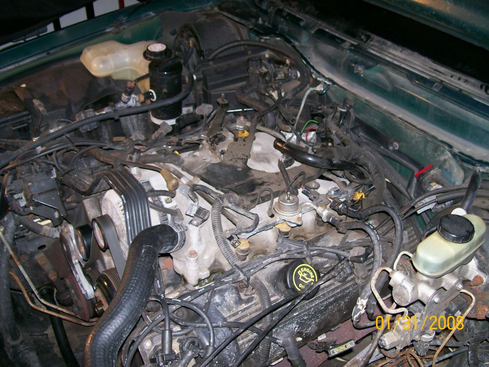 Ford V8 engine bay with intake manifold exposed, vacuum lines, master cylinder and belt pulleys