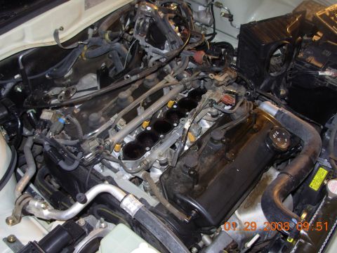 1995 Ford Taurus - Close-up view of a vehicle's engine bay, showing various components and hoses. The date stamp indicates it was taken on 09/29/2008.