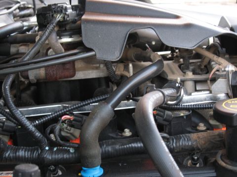 2004 Ford Crown Victoria - Close-up view of engine components, including hoses and electrical wiring.