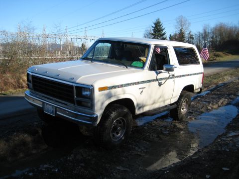 1980 Ford Bronco - This 1980 Ford Bronco is shown in a muddy, outdoor setting with power lines in the background.