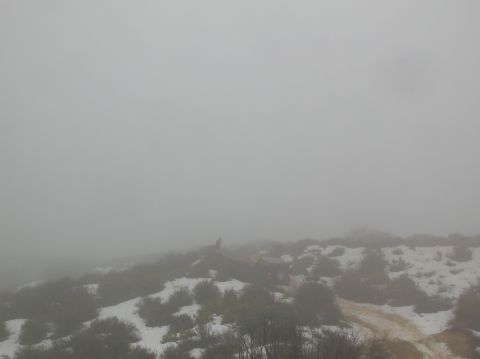 1985 Ford Bronco - A lone vehicle is obscured by fog on a wintery hillside.