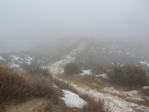 1985 Ford Bronco - A light blue SUV navigates a foggy, off-road path with patches of snow.