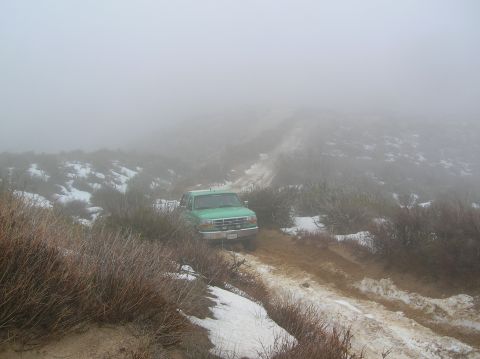 1985 Ford Bronco - A green truck navigates a muddy and snowy path through dense fog and brush.