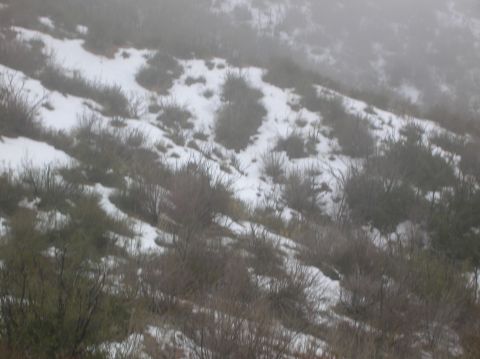 1985 Ford Bronco - A foggy, snow-dusted hillside with sparse vegetation.