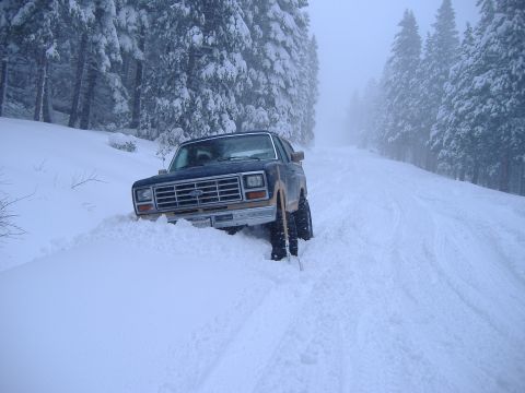1986 Ford Bronco - 2/2/08