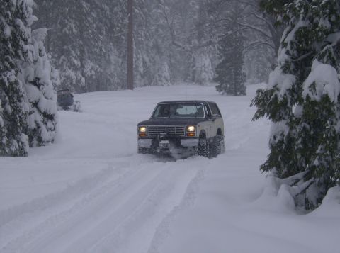 1986 Ford Bronco - A Ford Bronco navigates a snowy road with a plow attached, surrounded by snow-covered trees.
