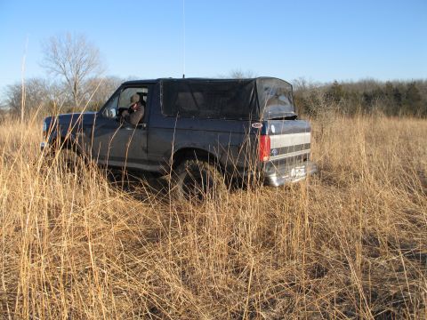 1995 Ford Bronco - A Ford Bronco with a soft top navigates through a field of dry grass under a clear blue sky.