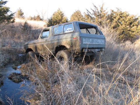 1995 Ford Bronco - This Ford Bronco appears to be from the late 1970s, stuck in a muddy area surrounded by dry grass and trees.