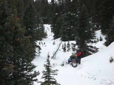 1999 Arctic Cat Powder Special 600 EFI “Pickle”