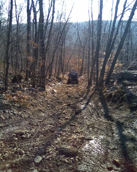 1989 Ford Bronco - A lone off-road vehicle navigates a rough, rocky path through a dense forest.