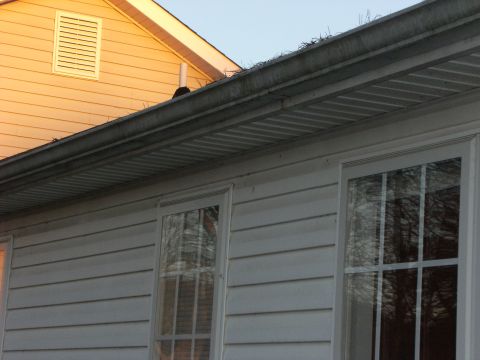 1992 Ford F-150 - Gutters Before