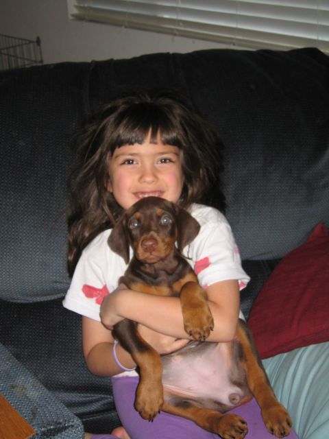 1997 Chevrolet C/K Pickup - A young girl smiles while holding a brown Doberman puppy on a couch.
