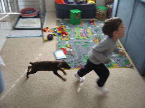 1997 Chevrolet C/K Pickup - A young child chases a puppy across a room filled with toys and a play mat.