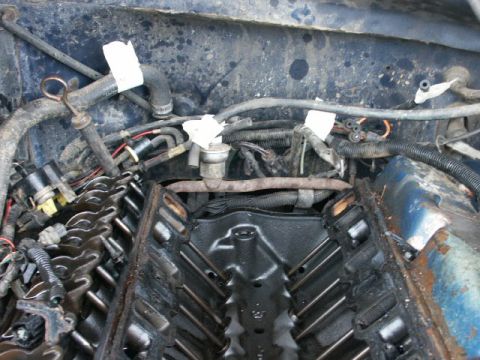 1984 Ford Bronco - Close-up view of an engine bay with valve covers removed, revealing internal components.