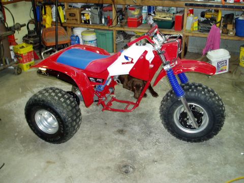 2000 Ford E350 - A Honda ATC three-wheeler is parked in a garage with a dog underneath.