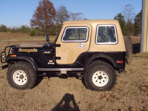 1993 Ford Bronco - last one