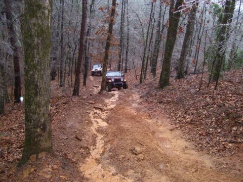 1995 Ford Bronco - Two Jeeps navigate a challenging muddy trail through a wooded area during an off-road excursion.