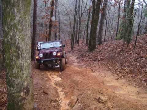 1995 Ford Bronco - Jeep Wrangler navigates a muddy path through a forest during daytime.