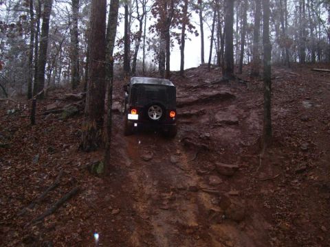 1995 Ford Bronco - A black Jeep Wrangler tackles a challenging, muddy, and rocky off-road trail surrounded by trees.
