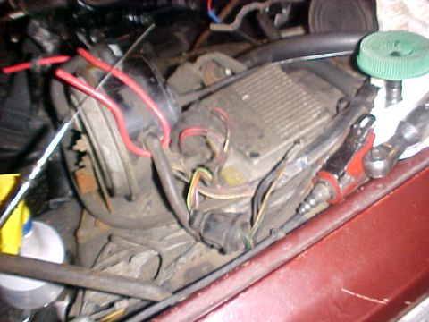1979 Ford LTD - Close-up view of an engine's ignition module and associated wiring harness.