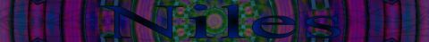 1996 Ford Taurus - The word 'Niles' is displayed in large blue letters against a vibrant, abstract background of purple and green stripes.