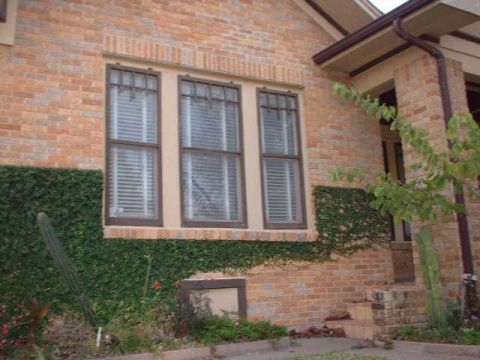 1996 Ford Taurus - A brick house exterior with ivy covering the lower walls and a portion of the windows.