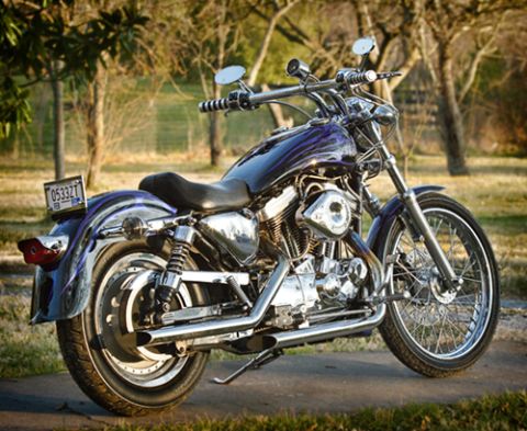 2005 Ford Crown Victoria - Purple Harley-Davidson Sportster motorcycle with chrome accents parked on a paved surface.