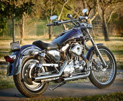 Purple Harley-Davidson Sportster motorcycle parked outdoors, rear 3/4 view. License plate reads 05332T