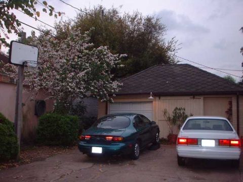 1996 Ford Taurus - Two sedans, a green 1996 Ford Taurus and a white one, are parked in a driveway.