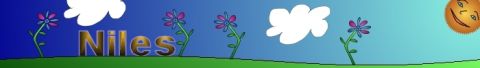 1996 Ford Taurus - Cartoon scene with flowers, clouds, the word 'Niles', and a smiling sun.