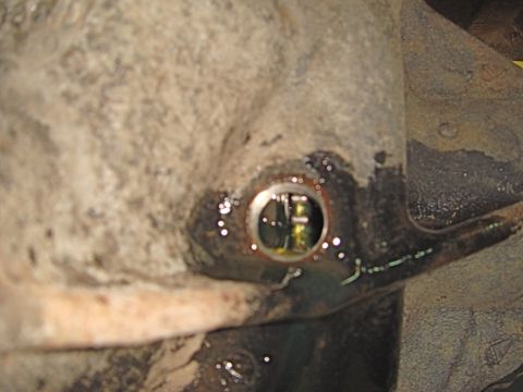 1996 Ford Bronco - Differential fluid drain plug showing some fluid residue.