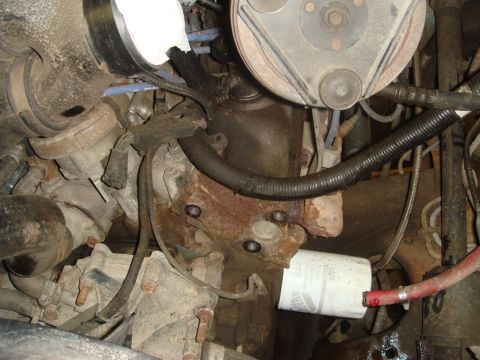 1996 Ford Bronco - Close-up view of engine components, including an oil filter and various hoses.