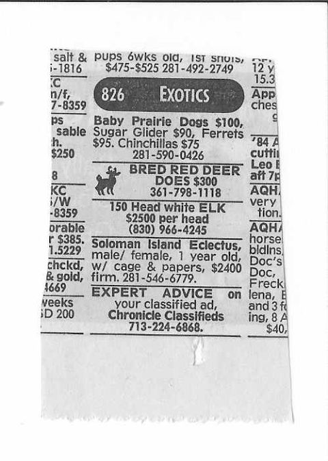 1996 Ford Taurus - Classified ads from a newspaper list various items for sale, including pets and services.