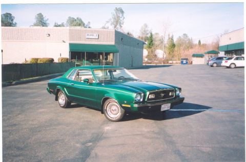 1975 Ford Mustang - Front of my 77 V8 Mustang with new pin stripe
