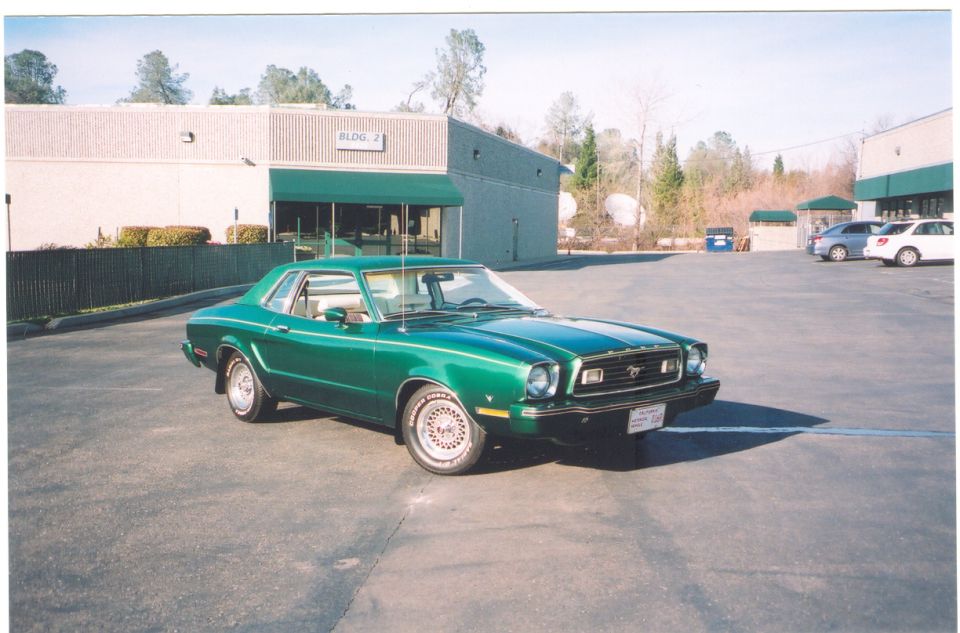 Front of my 77 V8 Mustang with new pin stripe