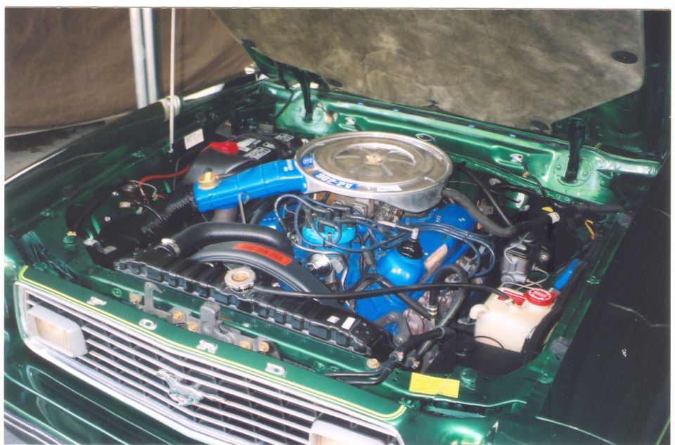 Classic Ford V8 engine with blue valve covers and chrome air cleaner in green truck engine bay
