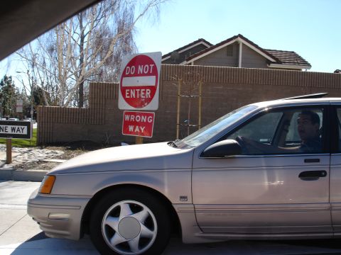 1991 Ford Taurus - A driver passes by traffic signs, appearing startled by the situation.