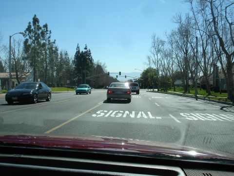 1991 Ford Taurus - A silver sedan is seen from behind, driving on a road with other vehicles and trees lining the sides.