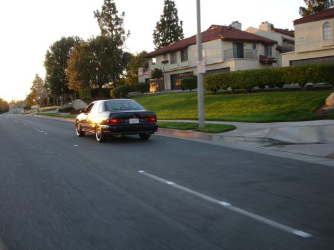 1991 Ford Taurus - A black sedan is captured from behind as it drives down a road in a residential area during the golden hour.