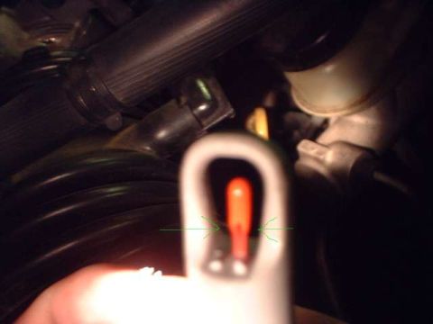 1996 Ford Taurus - A close-up view of various engine bay components, including hoses and a red indicator light.