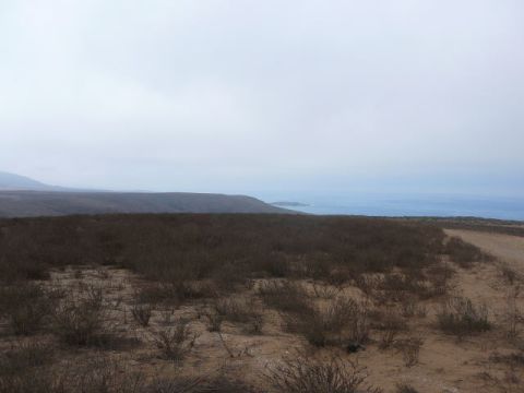1988 Ford Bronco - A desolate, dry landscape with sparse vegetation meets the ocean under a cloudy sky.