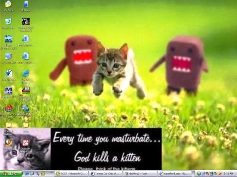1998 Ford Taurus - This is a desktop wallpaper a kitten and two Domo-kun characters in a grassy field.