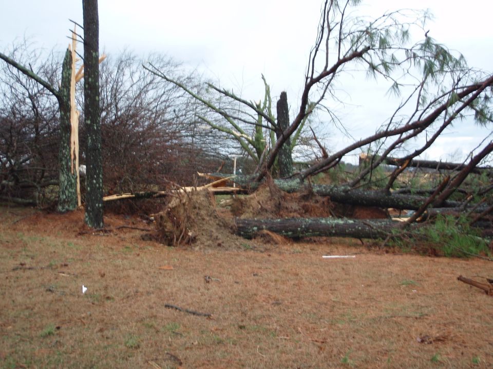 Storm damage scene with downed trees and debris