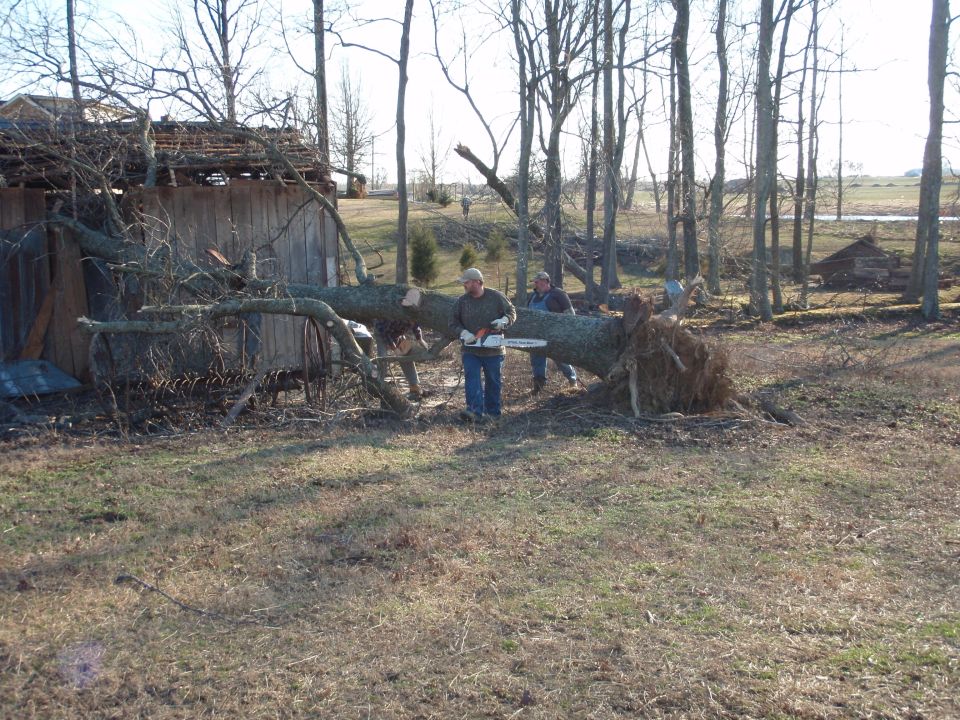 Men cutting a fallen tree with chainsaw beside a damaged wooden shed after a storm