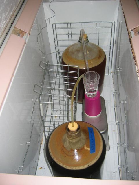 1985 Ford LTD Crown Victoria - Fermentation setup with two carboys and a hydrometer in a chest freezer.