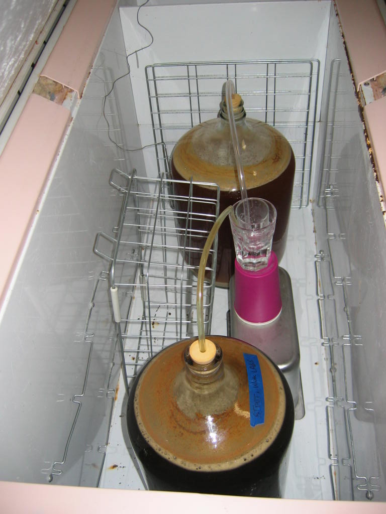 Two large glass carboys with brown liquid and tubing are inside a chest freezer, with a small glass on a scale